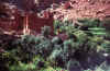 maroccobig14.jpg (46781 byte)