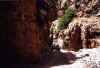 maroccodiscgola.jpg (68632 byte)