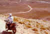 maroccoswan.jpg (66823 byte)